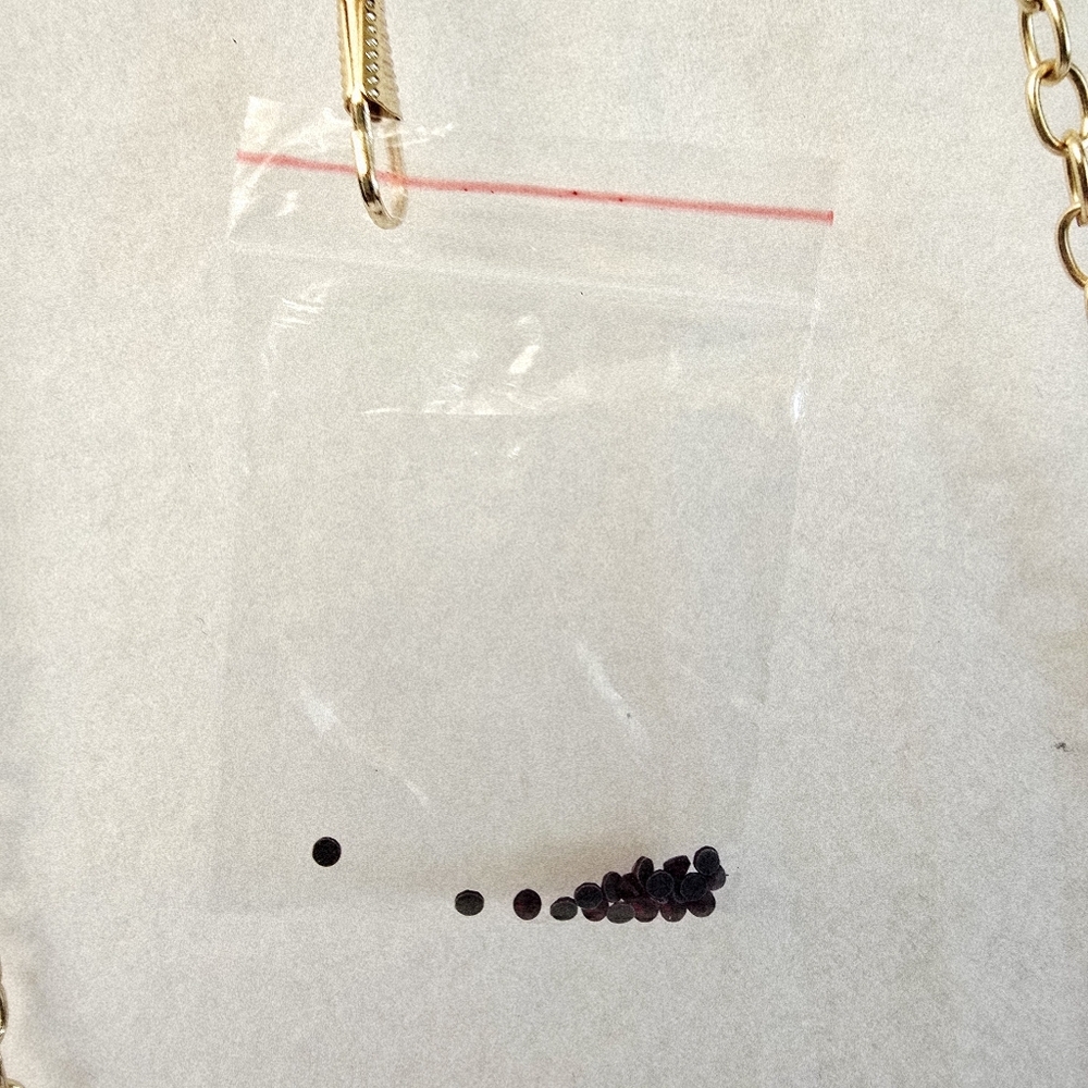 Red Gem Evening Bag 2 Different Length Chains & Extra Gems NWOT Fits Cell Phone - Picture 12 of 16